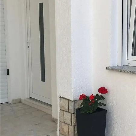 Irena 2